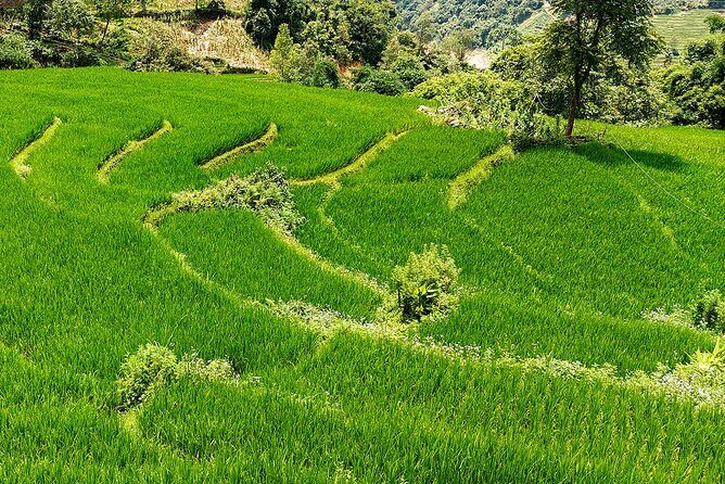 2 Day Private Tour from Sapa Waterfalls Villages and Hidden Gems - Frequently Asked Questions (FAQs)