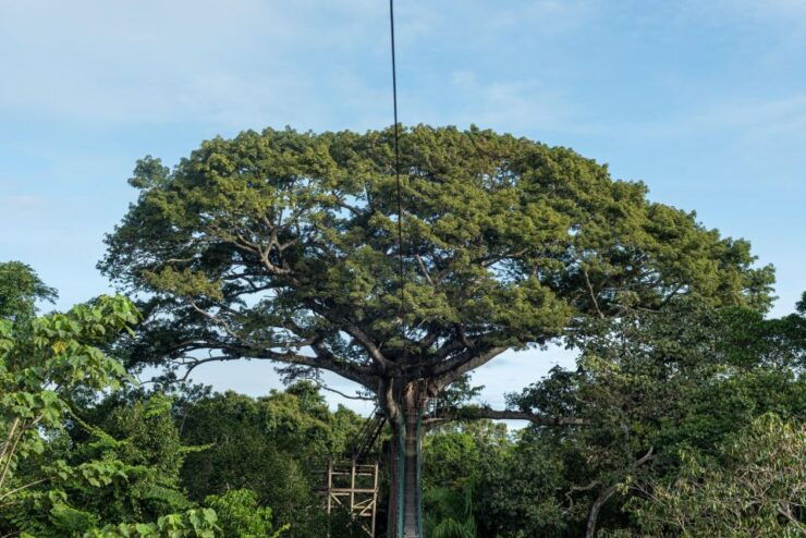 2 Day Private Tour in Tambopata Amazon - Booking Details