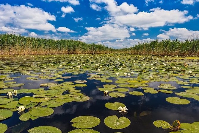 2-Day Private Tour of Danube Delta From Bucharest - Pricing and Booking