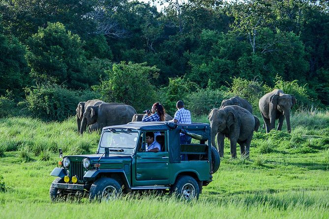 2 Day Private Tour of Yala & Udawalawe (Double Safari Tour) - All Inclusive - Selecting Date and Travelers