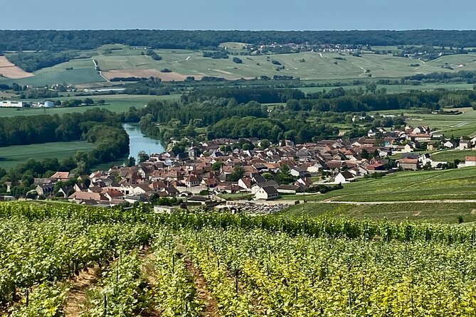2-Day Private Tour to Champagne & Chablis: Moët Et Chandon Etc, 15 Wines Tasting - Customized Itinerary
