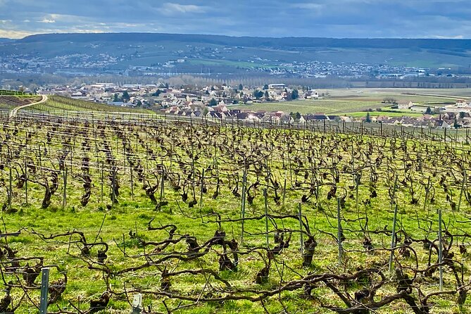 2-Day Private Tour to Champagne & Chablis: Moët Et Chandon Etc, 15 Wines Tasting - Inclusive Transportation