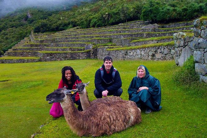 2-Day Private Tour to Machu Picchu From Cusco - Reviews