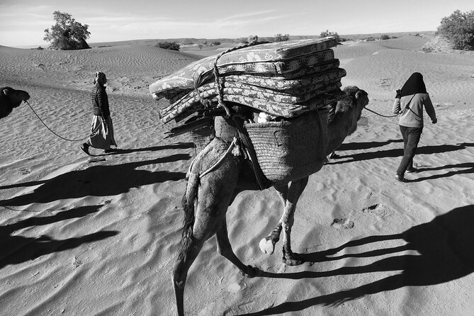2-Day Private Tour to the Heart of the Chegaga Dunes - Tour Highlights