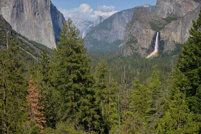 2 Day Private Tour to Yosemite National Park - Good To Know