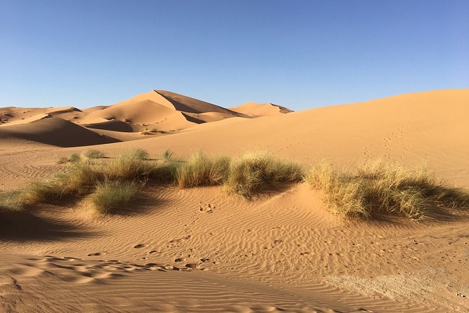 2-Day Private Tour to Zagora Desert From Marrakech - Meals Included