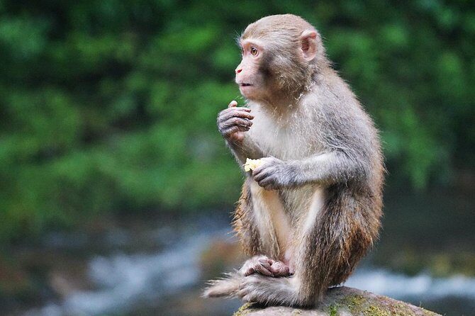 2-Day Private Tour to Zhangjiajie from Shanghai by Air with Accommodation - Who Will Love This Tour?