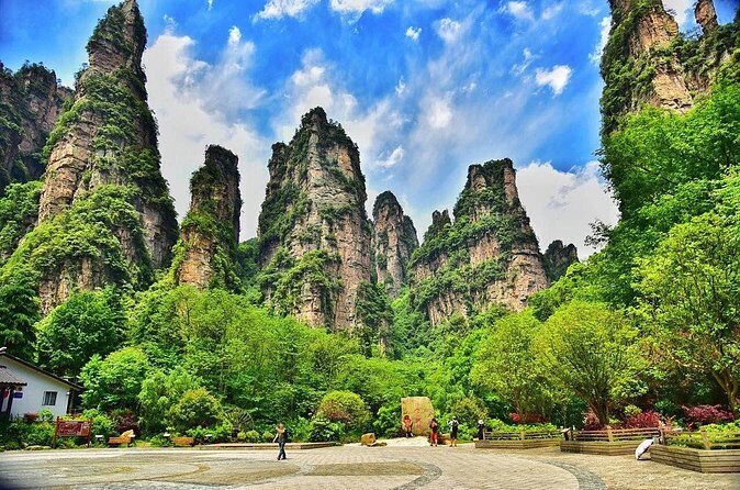 2-Day Private Tour to Zhangjiajie from Shanghai by Air with Accommodation - Authentic Experiences Highlighted by Reviews