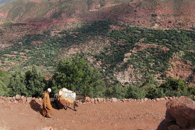 2 Day Private Trekking at Berber Villages in Atlas Mountains - Good To Know