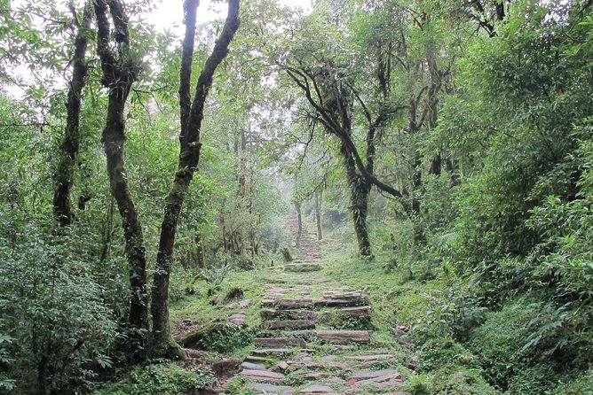 2-Day Private Trekking Tour to Australian Camp & Dhampus - Questions and Help