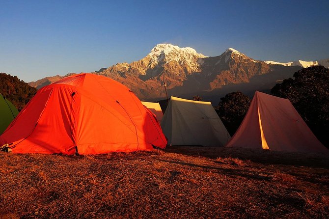 2-Day Private Trekking Tour to Australian Camp & Dhampus - Copyright and Terms & Conditions