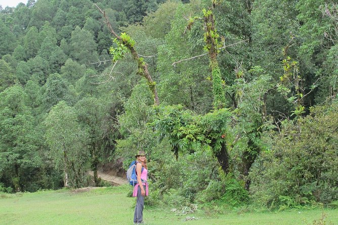 2-Day Private Trekking Tour to Australian Camp & Dhampus - Trekking Itinerary