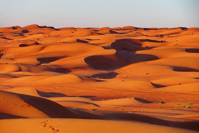 2 Day Private Trip to Two Oasis With Overnight Desert Camping - Trip Overview