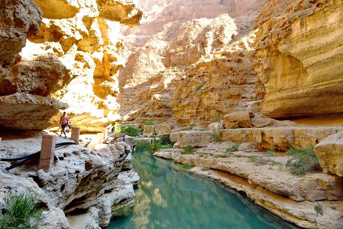 2 Day Private Trip to Two Oasis With Overnight Desert Camping - The Sum Up
