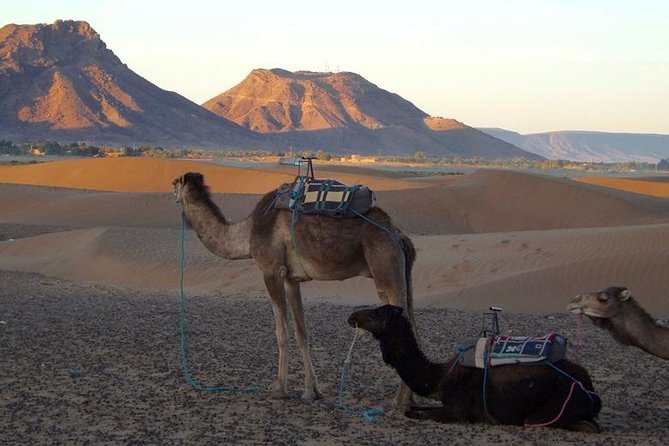 2-Day Private Trip to Zagora Desert - Cancellation Policy