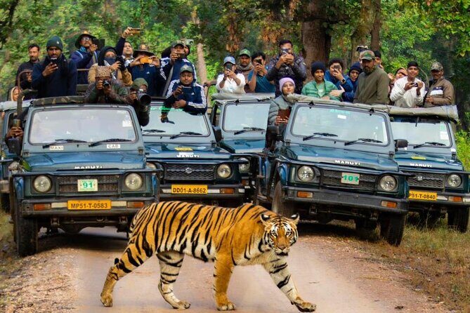 2-Day Ranthambore Tiger & Chambal River Safari from Jaipur - Is This Tour Right for You?