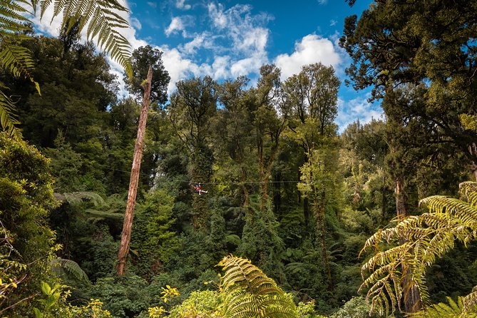 2 Day Rotorua Experience: Waitomo Caves, Maori Culture & Ziplining From Auckland - End Point, Refund Policy, and Changes