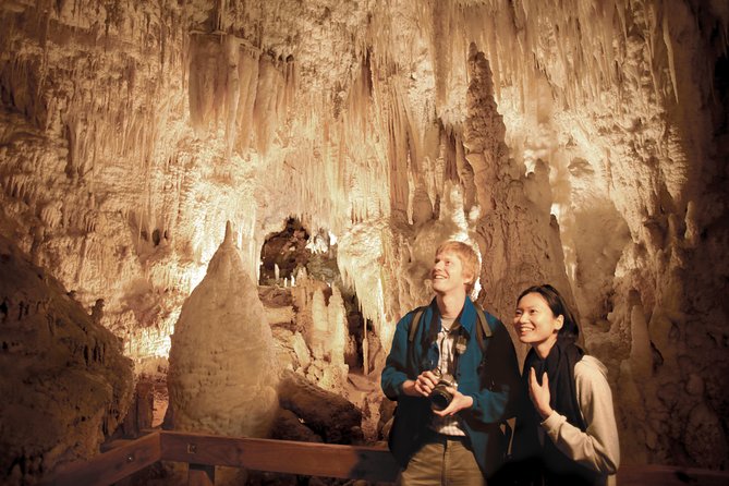 2 Day Rotorua Experience: Waitomo Caves, Maori Culture & Ziplining From Auckland - Ziplining Adventure