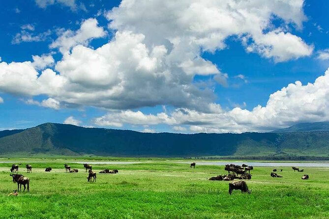 2-Day Safari to Tarangire National Park and Ngorongoro Crater - Good To Know