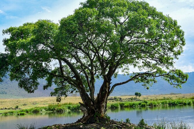 2-Day Safari to Tarangire National Park and Ngorongoro Crater - Inclusions