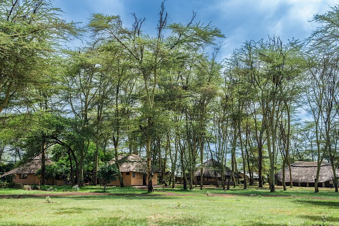 2 Day Safari Tour in Tarangire and Lake Manyara National Parks - Pricing and Inclusions