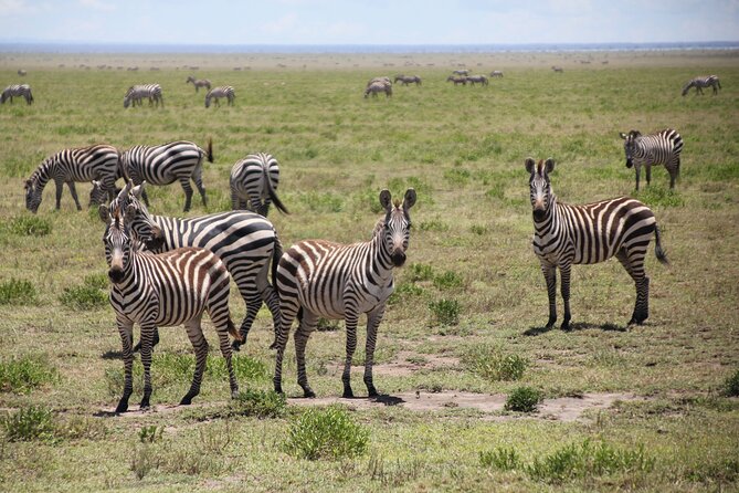 2-Day Safari-Trip to Lake Manyara & Ngorongoro (Mid-range) - Exclusions