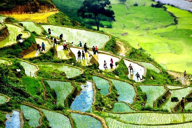 2-Day Sapa Small-Group Guided Trekking by Sleeper Bus  - Hanoi - Date and Travelers