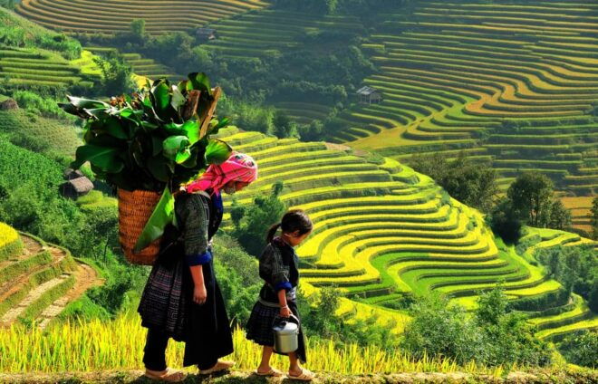 2-Day Sapa Tour - Overnight in Ta Van Village (All in One) - Day 2 Activities