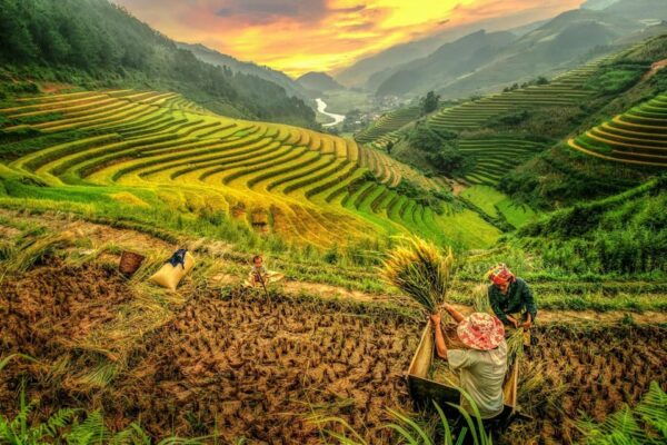 2-Day Sapa Tour - Overnight in Ta Van Village (All in One) - Frequently Asked Questions