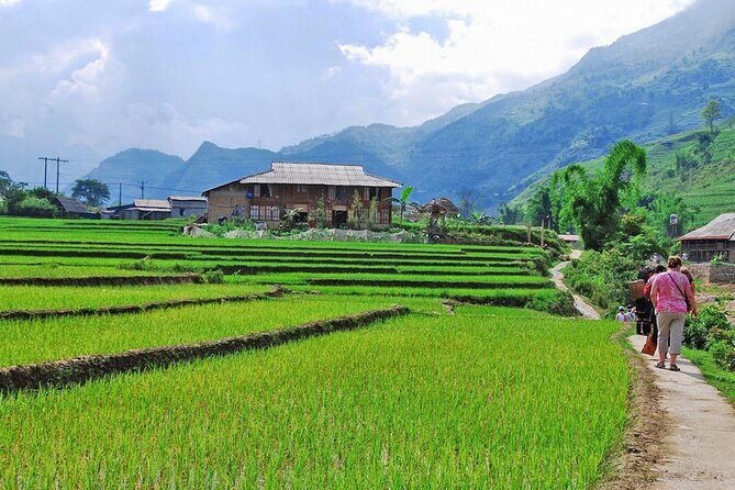 2 Day Sapa Trekking Tour - The Sum Up: The Practical Choice for Authentic Sapa Experiences