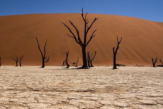 2 Day Scenic Sossusvlei Adventure Tour in Namibia - Accommodation and Meals
