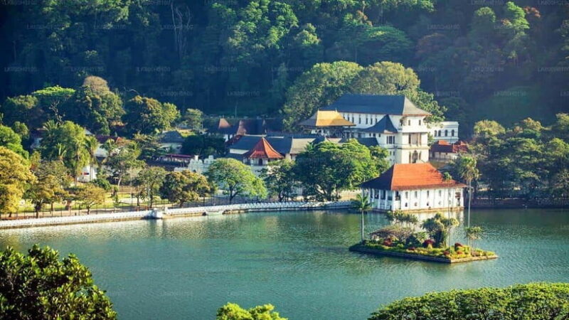 2-Day Scenic Tour from Kandy to Ramboda & Nuwara Eliya - The Sum Up