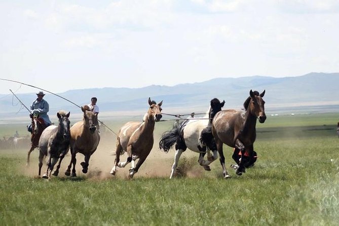 2 Day Semi-Gobi Tour With Nomads and Free Camel Ride - Tour Highlights