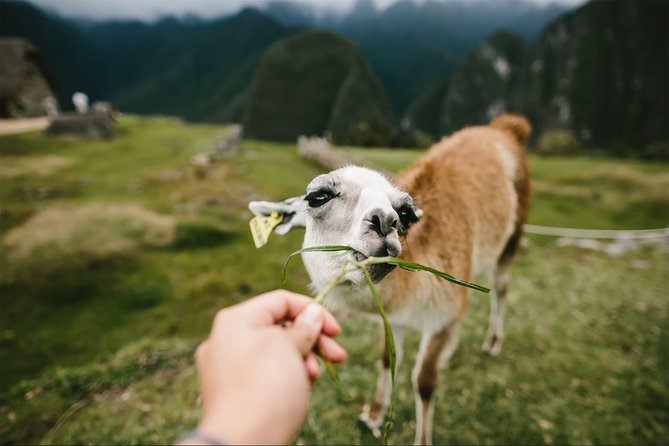 2 Day Short Inca Trail to Machu Picchu - Tour of Machu Picchu Ruins