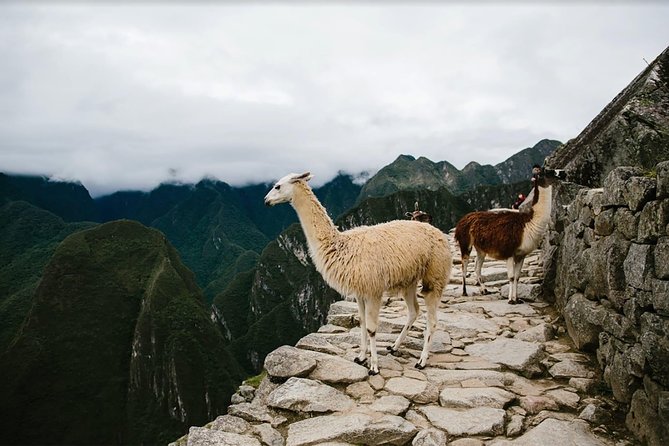 2 Day Short Inca Trail to Machu Picchu - Traveler Photos
