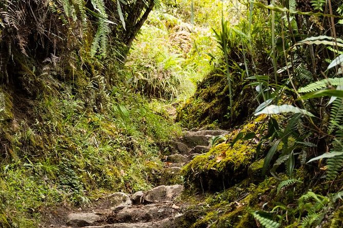 2 Day - Short Inca Trail to Machu Picchu - Group Service - Wayna Picchu and Accommodation Options