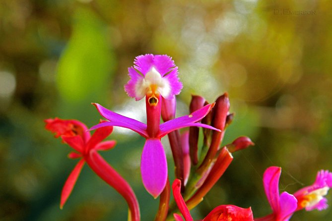 2 Day - Short Inca Trail to Machu Picchu - Private Services - Recommended Physical Fitness Level