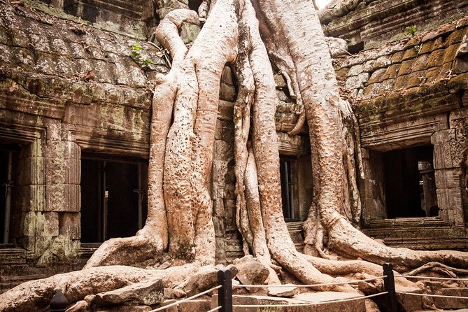 2-Day Siem Reap Angkor Bicycle Experience - Booking Information