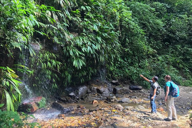 2-Day Sierra Nevada and Chorreron Waterfall Walking Tour  - Caribbean Coast - Tour Overview