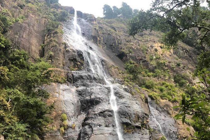 2-Day Sigiriya, Dambulla & Wildlife Tour From Negombo - Tour Highlights