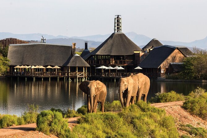 2 Day Small Group Garden Route Big 5 Safari Tour From Cape Town - Itinerary Highlights