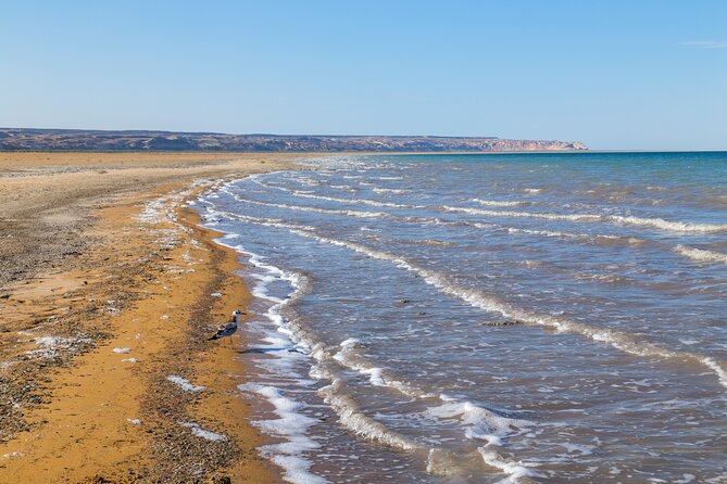 2-Day Small Group Jeep Adventure Tour to Aral Sea in Nukus - Inclusions