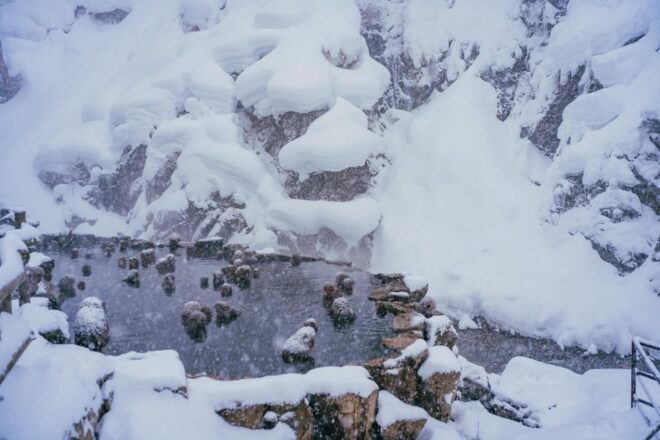 2-Day Snow Monkey Tour: Nagano To Takayama via Matsumoto - Inclusions and Exclusions