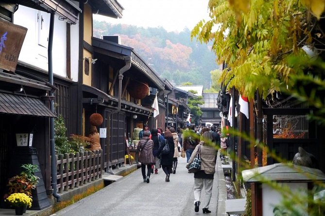 2-Day Snow Monkey Tour: Nagano to Takayama via Matsumoto - Reviews and Pricing