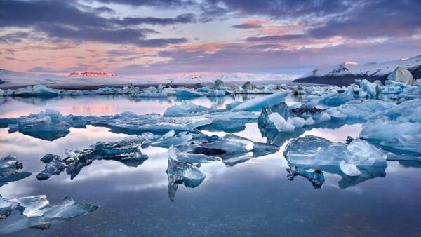 2-Day South Coast, Blue Ice Cave, Glacier Lagoon Tour - Transportation and Guides