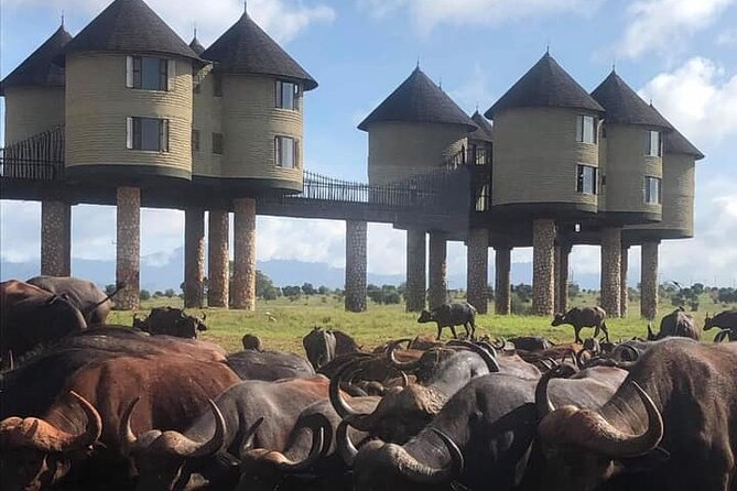 2 Day Taita Hills and Saltlick Safari Tour From Diani Beach - Good To Know