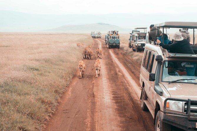 2 Day Tanzania Wildlife Safari Tarangire and Ngorongoro Crater - Booking Information