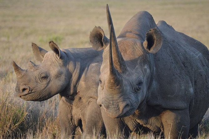 2 Day: Tarangire and Ngorongoro Crater - Pricing and Guarantee