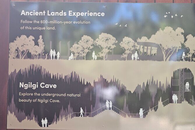 2 Day Tour Busselton Jetty, Ngilgi Cave to Valley of the Giants - Who Will Love This Tour?