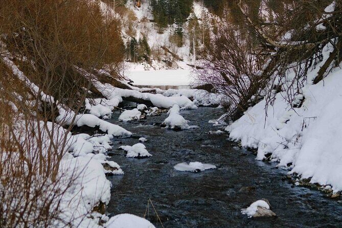 2 Day Tour Explore Charyn Canyons Kolsay and Kaindy Lake - The Experience Breakdown